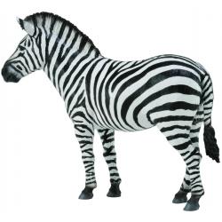 ZEBRA COMMO
