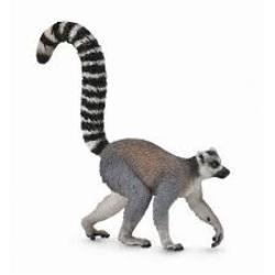 LEMUR OGONIASTY