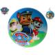 PIŁKA 23CM PAW PATROL 2825
