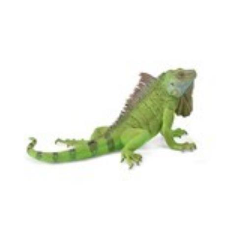 IGUANA