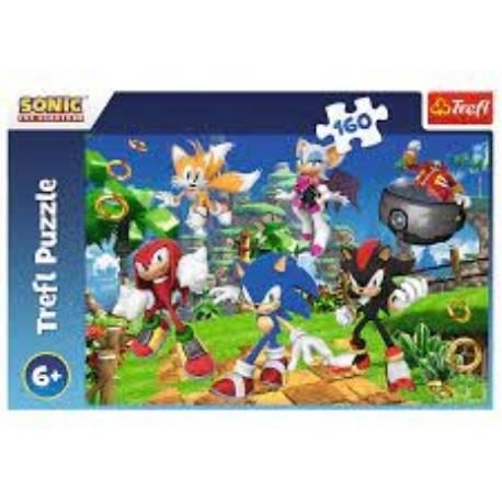 PUZZLE 160EL SONIC I PZYJACIELE