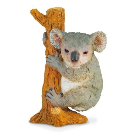 MIŚ KOALA WSPINAJĄCY SIĘ