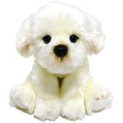 PIES BICHON 30CM
