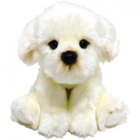 PIES BICHON 30CM