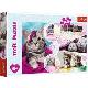 PUZZLE 160EL UROCZE KOTKI