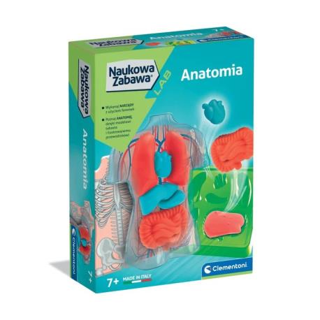 ANATOMIA LAB