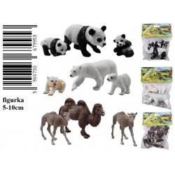 ZWIERZĘTA DZIKIE 3ASS