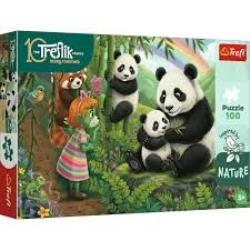 PUZZLE 100EL PANDY