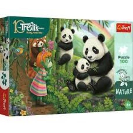 PUZZLE 100EL PANDY
