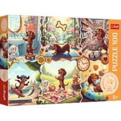 PUZZLE 100EL JAMNIK
