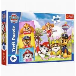 PUZZLE 100EL PSI PATROL