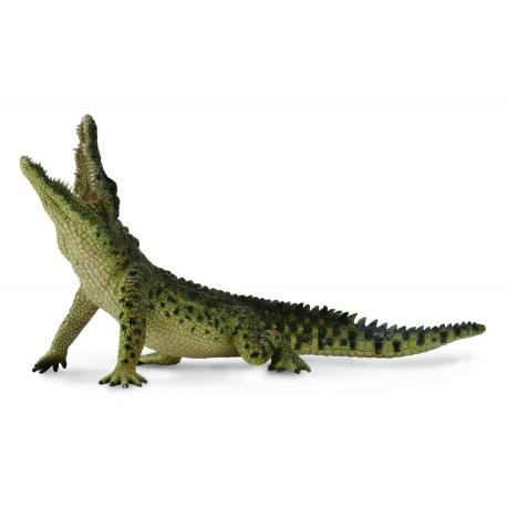 KROKODYL NILOWY XL RUCHOMA SZCZĘKA