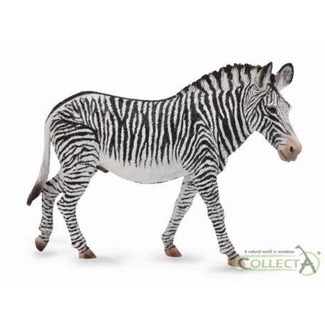 GREVY ZEBRA XL