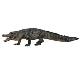 ALIGATOR AMERICAN L