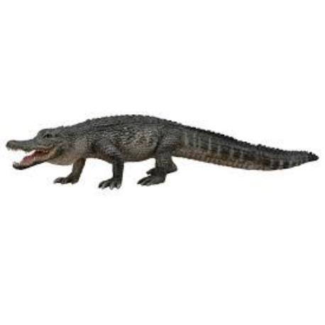 ALIGATOR AMERICAN L